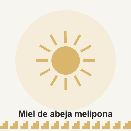 Miel de abeja melipona